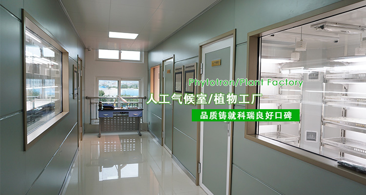 1-http://www.veion.cn/uploads/190724/1-1ZH416093M17.jpg