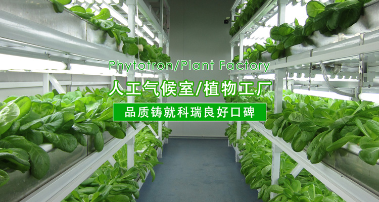 2-http://www.veion.cn/uploads/190724/1-1ZH416094V41.jpg
