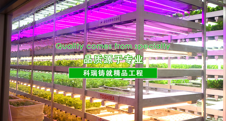 4-http://www.veion.cn/uploads/allimg/191012/1-191012141R60-L.jpg